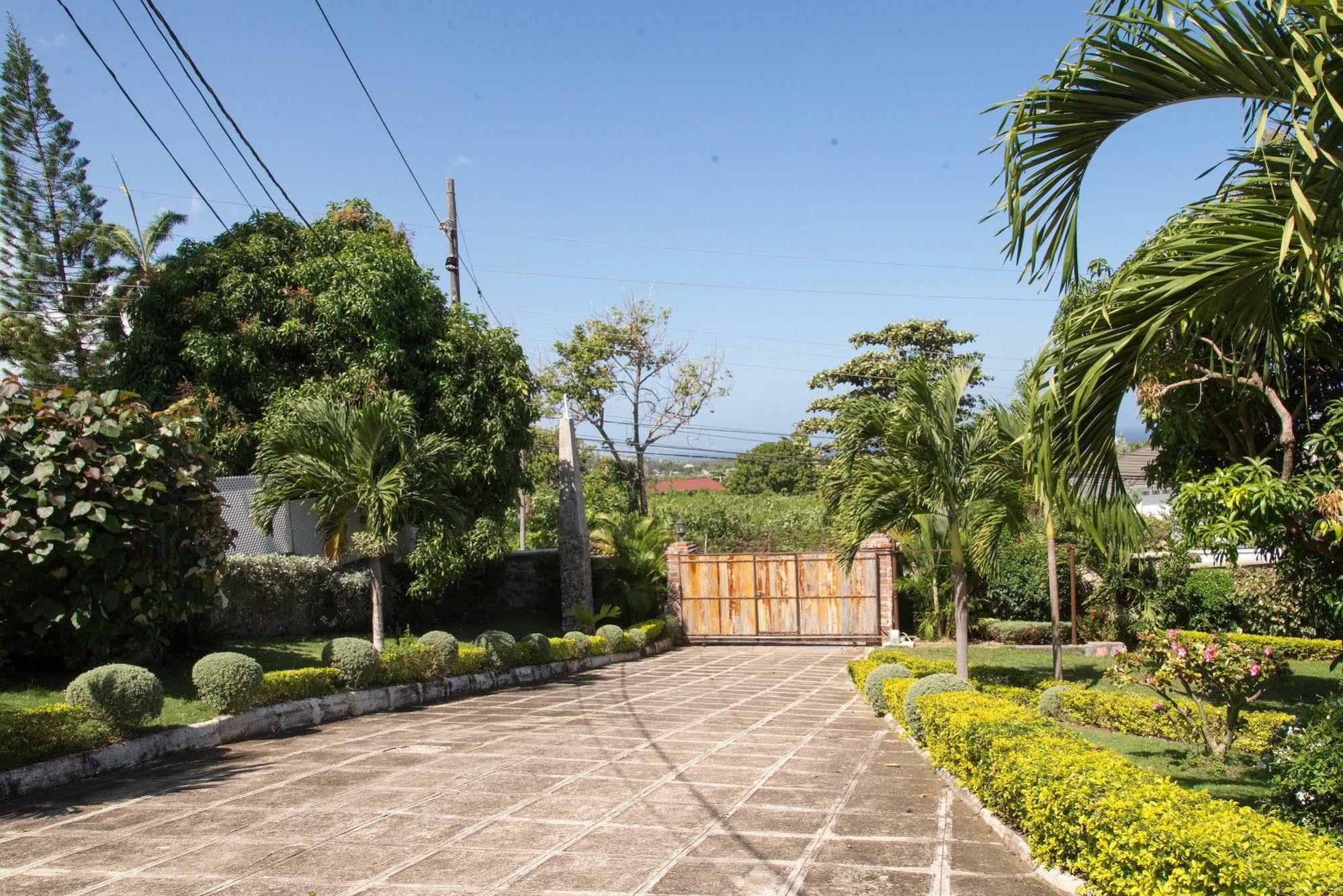 Hatfield South Villa Montego Bay Eksteriør bilde